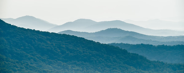 网络与新媒体的就业前景