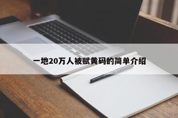 一地20万人被赋黄码的简单介绍