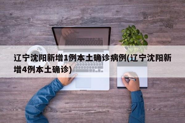 辽宁沈阳新增1例本土确诊病例(辽宁沈阳新增4例本土确诊)