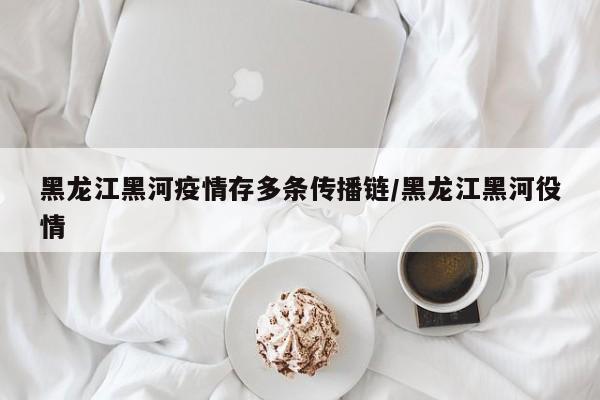 黑龙江黑河疫情存多条传播链/黑龙江黑河役情