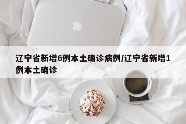 辽宁省新增6例本土确诊病例/辽宁省新增1例本土确诊