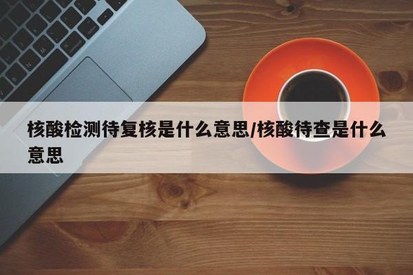 核酸检测待复核是什么意思/核酸待查是什么意思