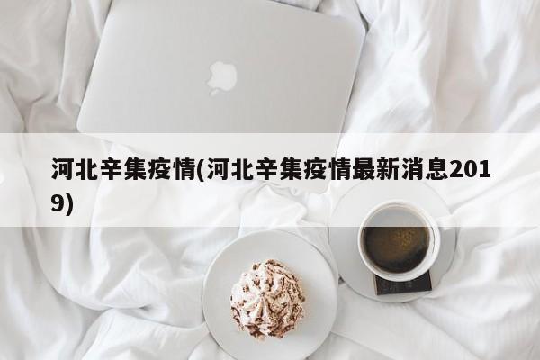 河北辛集疫情(河北辛集疫情最新消息2019)