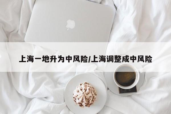 上海一地升为中风险/上海调整成中风险